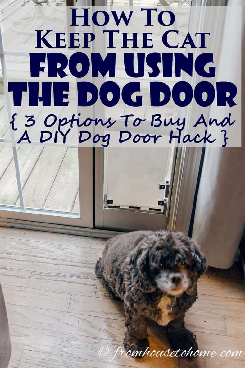 How To Keep The Cat From Using The Dog Door - 3 Options to Buy and a DIY Dog Door Hack