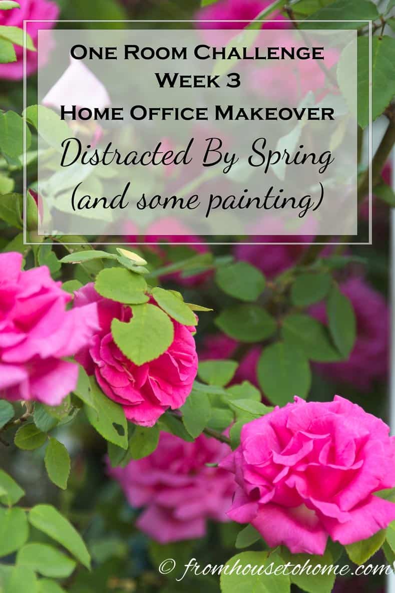 One Room Challenge Week 3 Home Office Makeover: Distracted by Spring (and some painting)