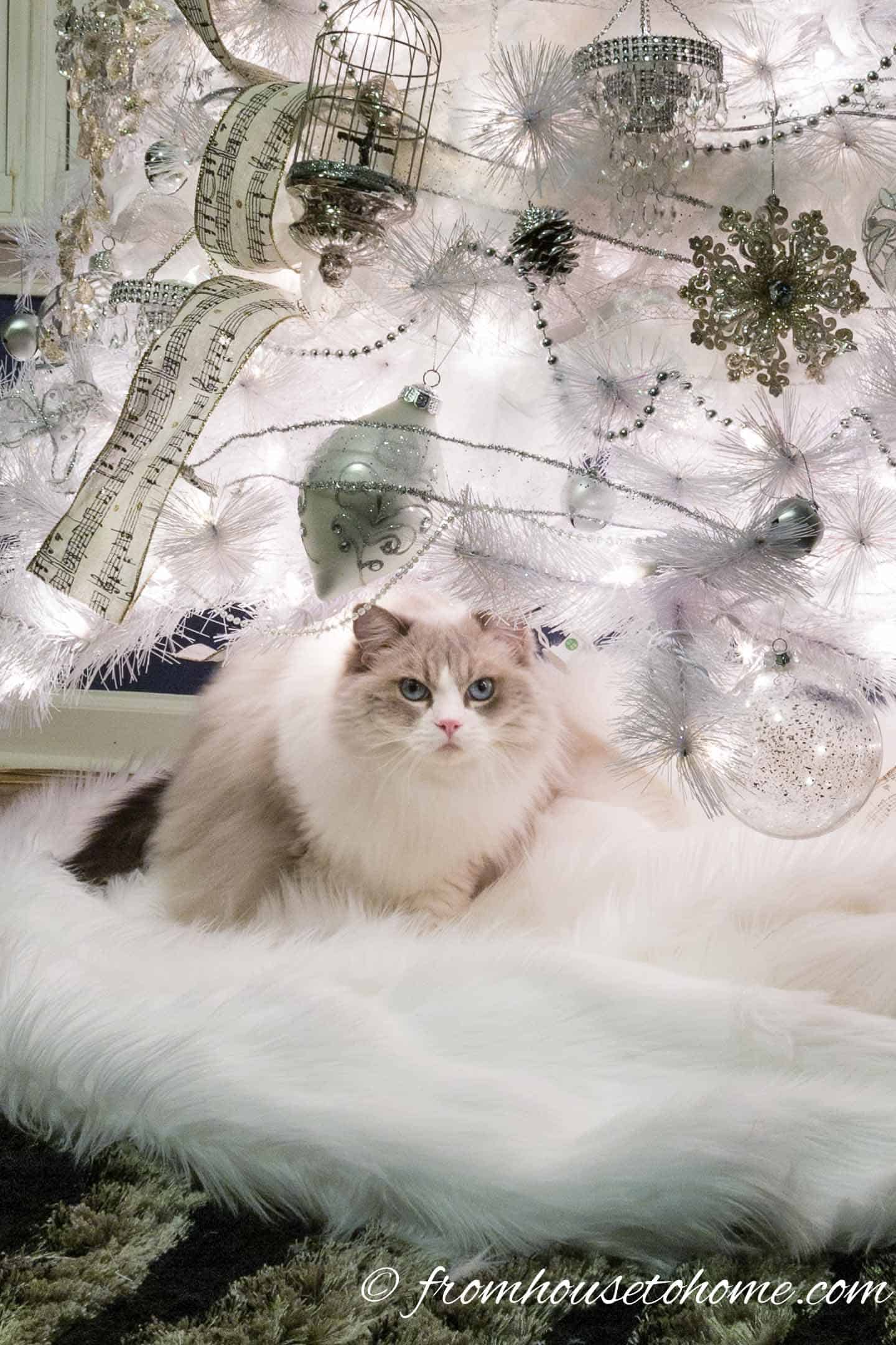 Cat sitting on white faux fur tree skirt under all white Christmas tree
