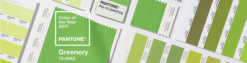Pantone "Greenery" | Sneak Peak At The Hottest 2017 Paint Color Trends | If you want to update a room in your home and need some inspiration for the color palette, take a look at the new paint color trends for 2017.