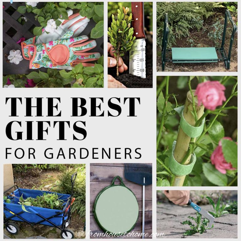 Best Gifts For Gardeners in 2023