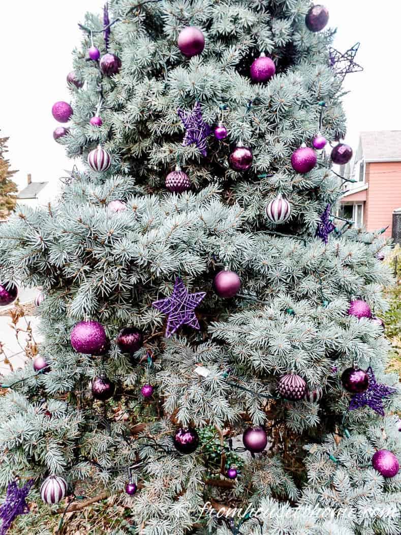 Outdoor Christmas tree with purple ornaments
