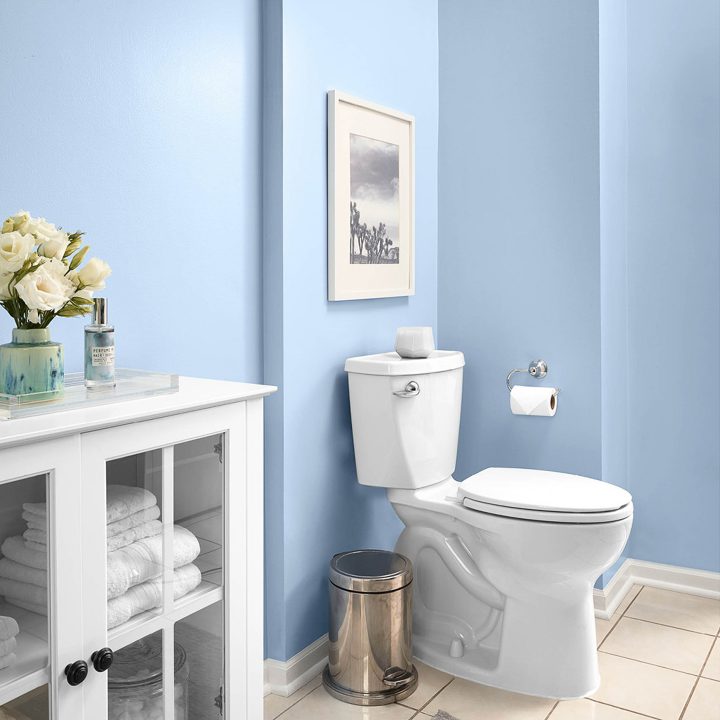 Bathroom painted with Valspar's 'Utterly Blue', one of their 2020 colors of the year