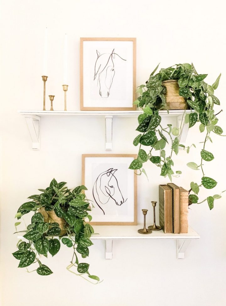 White wall mounted shelving covered with plants, art, books and candlestick decor. 