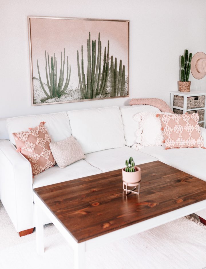 A large framed art piece featuring a cactus in front of a pink background above a light colored sofa with pink throw pillows. 
