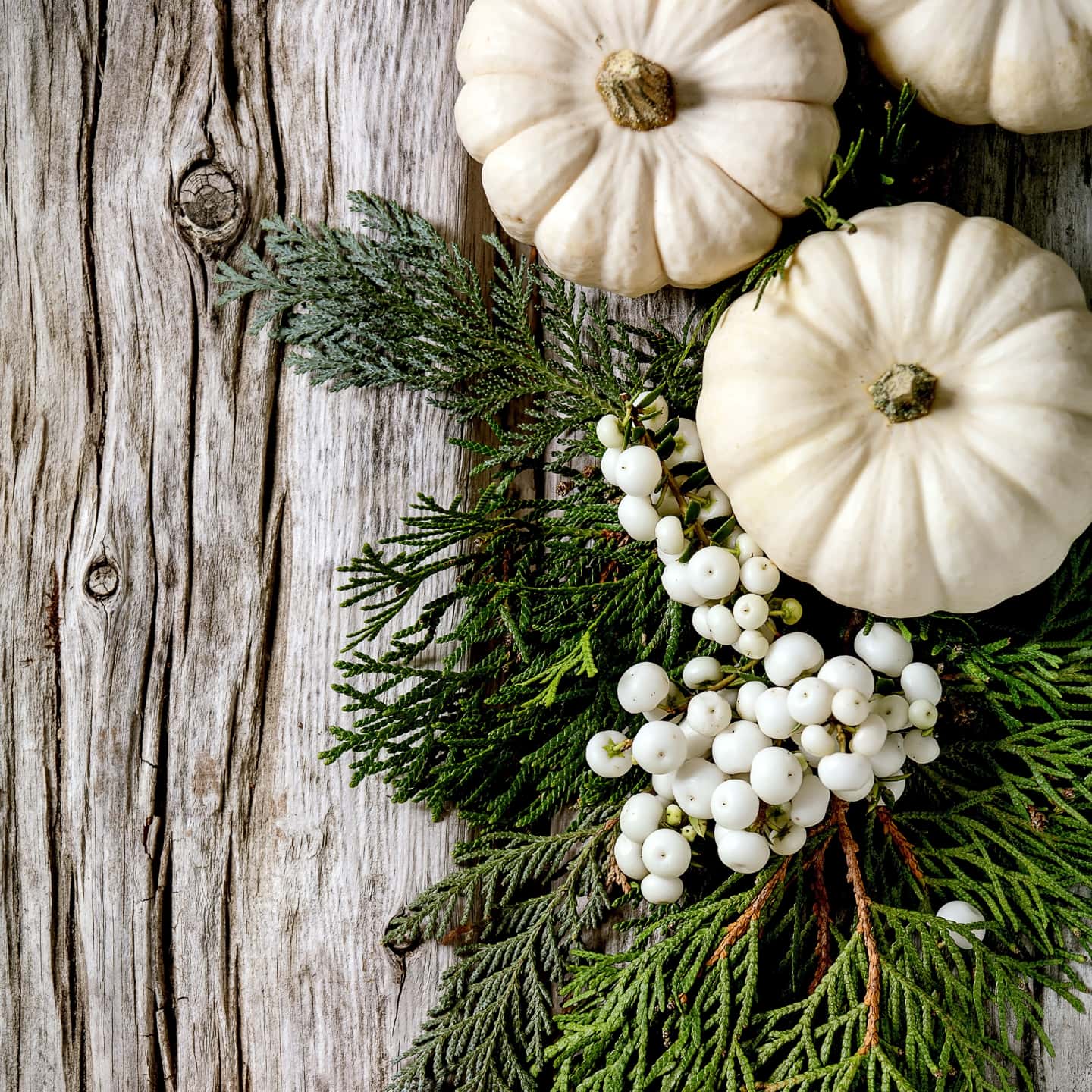 Fall home decor ideas featuring white pumpkins and berries on a wooden background.
