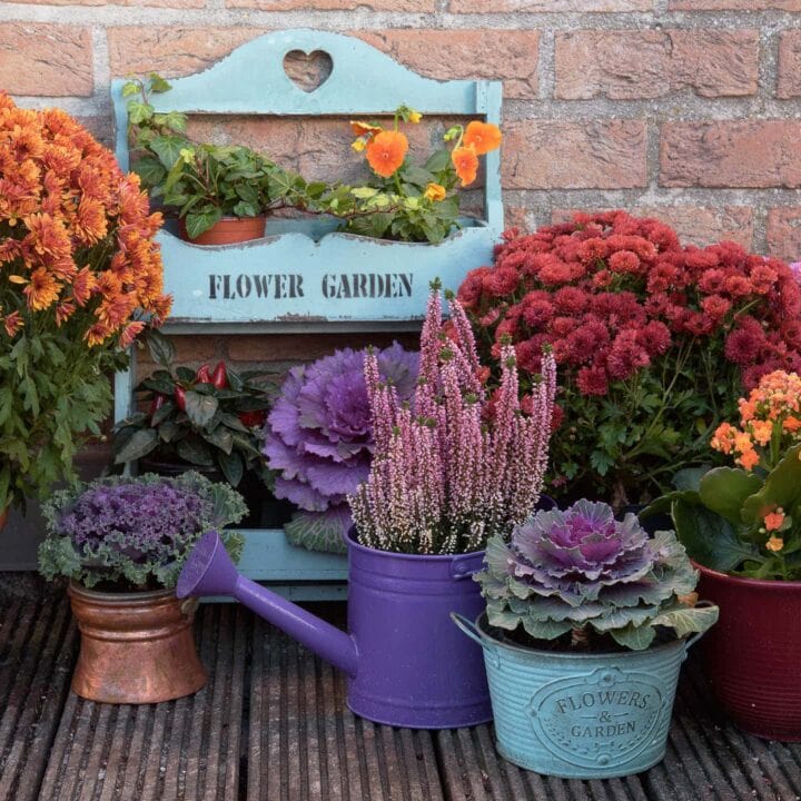front porch fall planter ideas