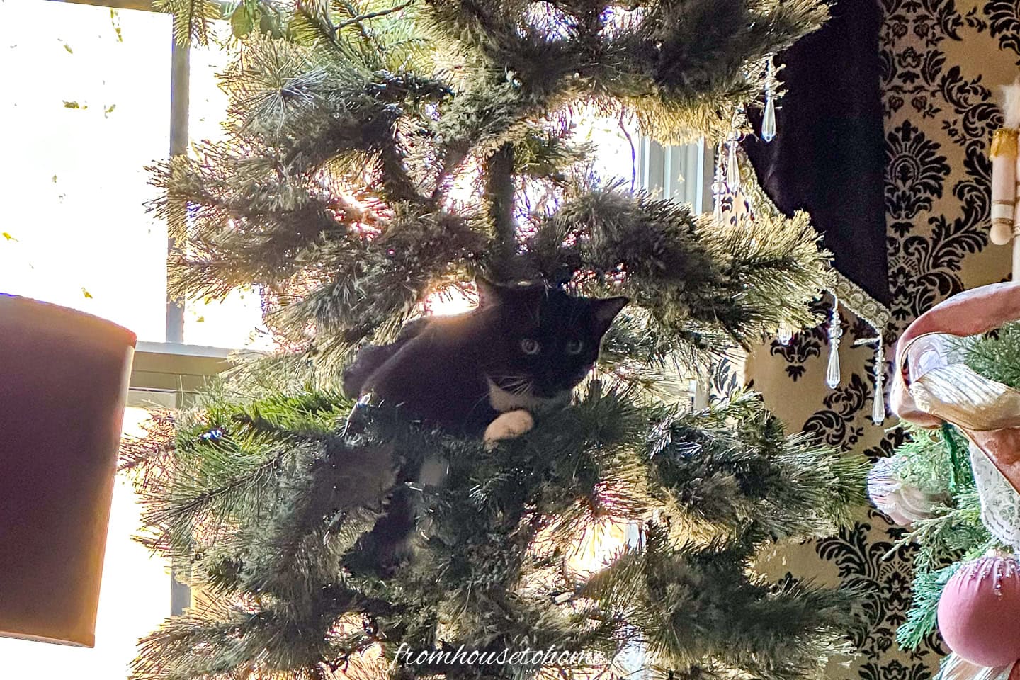 A black and white kitten in a Christmas tree