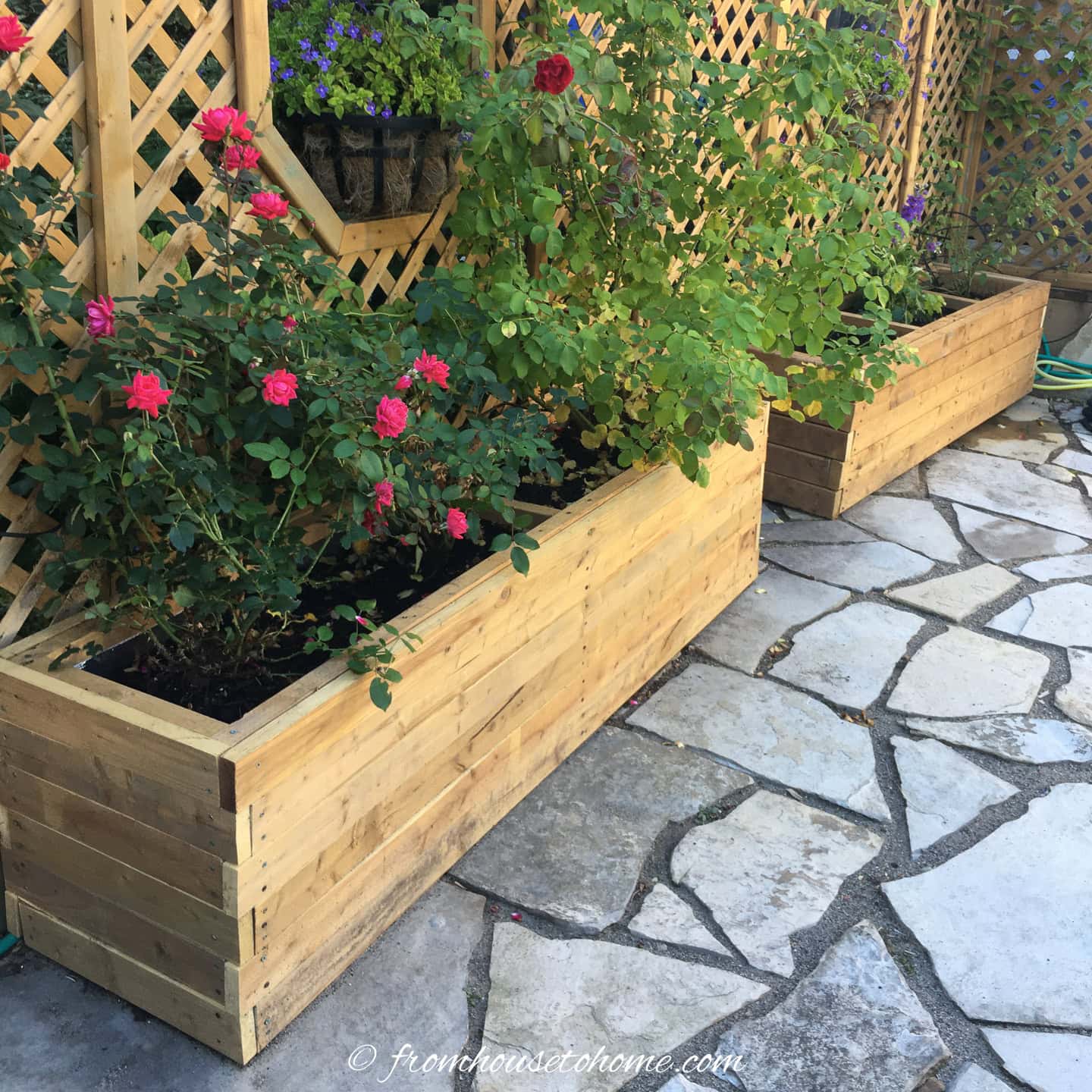 How To Build A Large DIY Planter Box