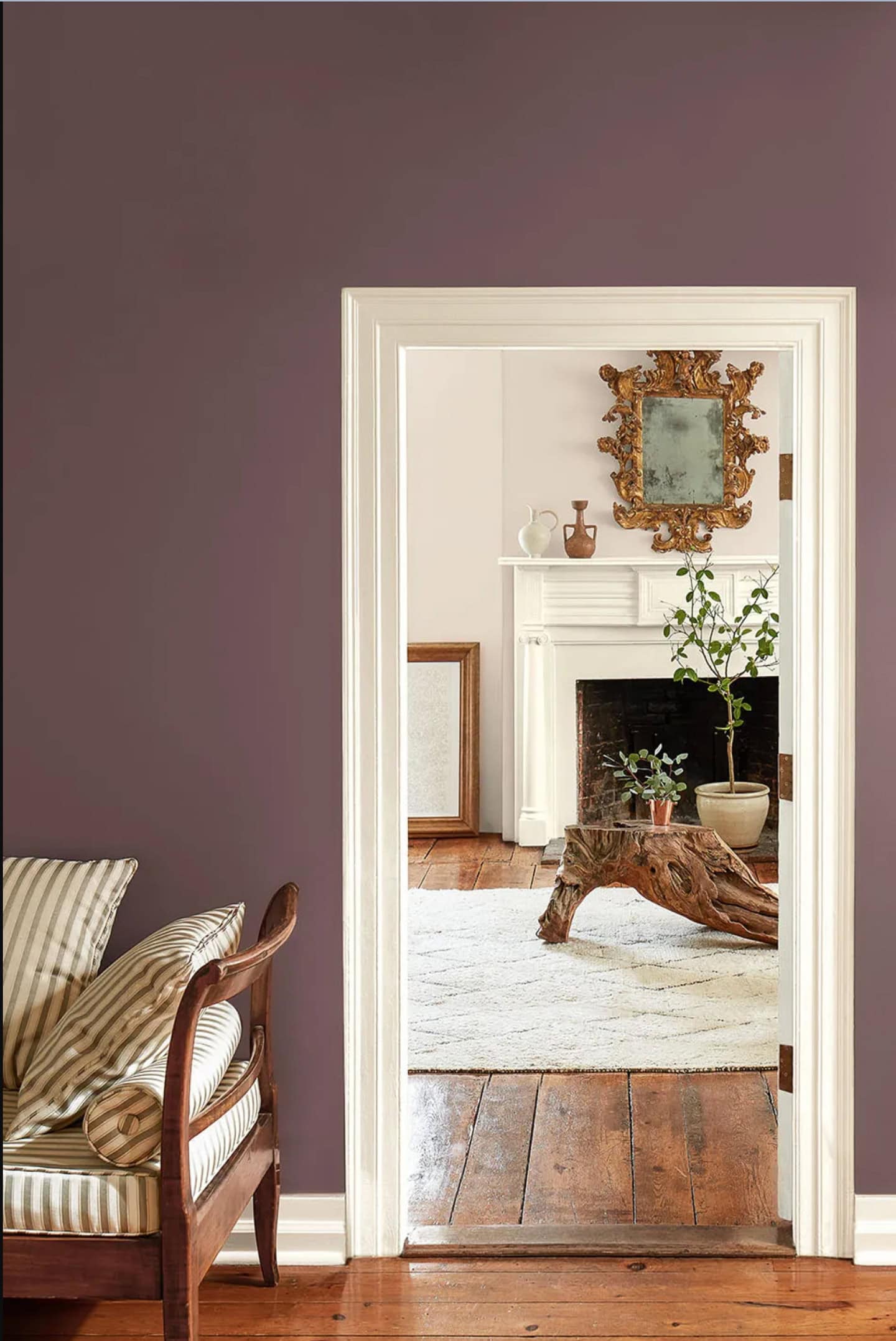 A hallway wall painted in Benjamin Moore 2025 color of the year "Cinnamon Slate"