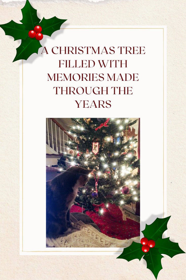 a christmas tree filled with memories made through the years