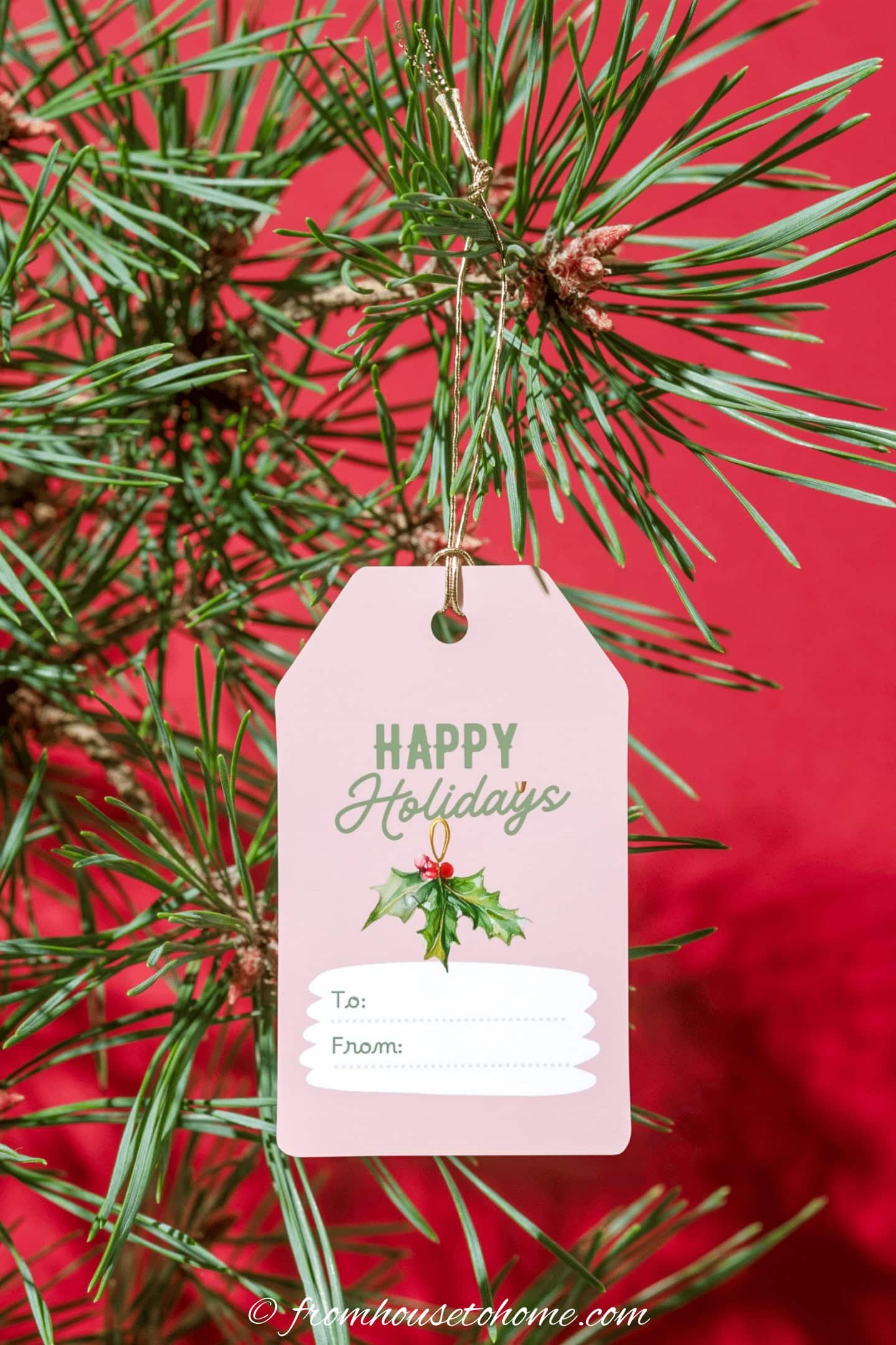 A pink printable Christmas gift tag hanging from a Christmas tree branch