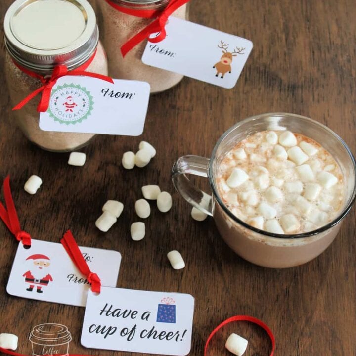 homemade hot chocolate mix