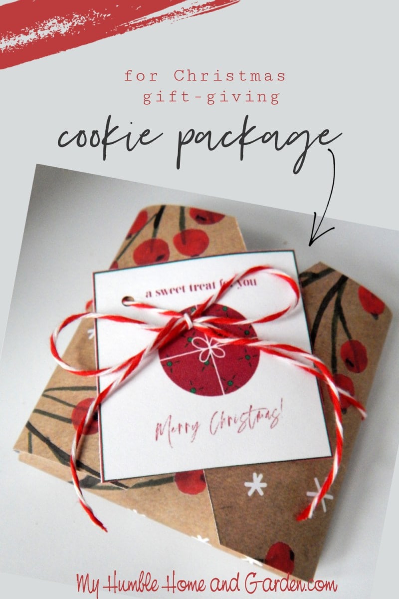 how to package a cookie for christmas gift-giving