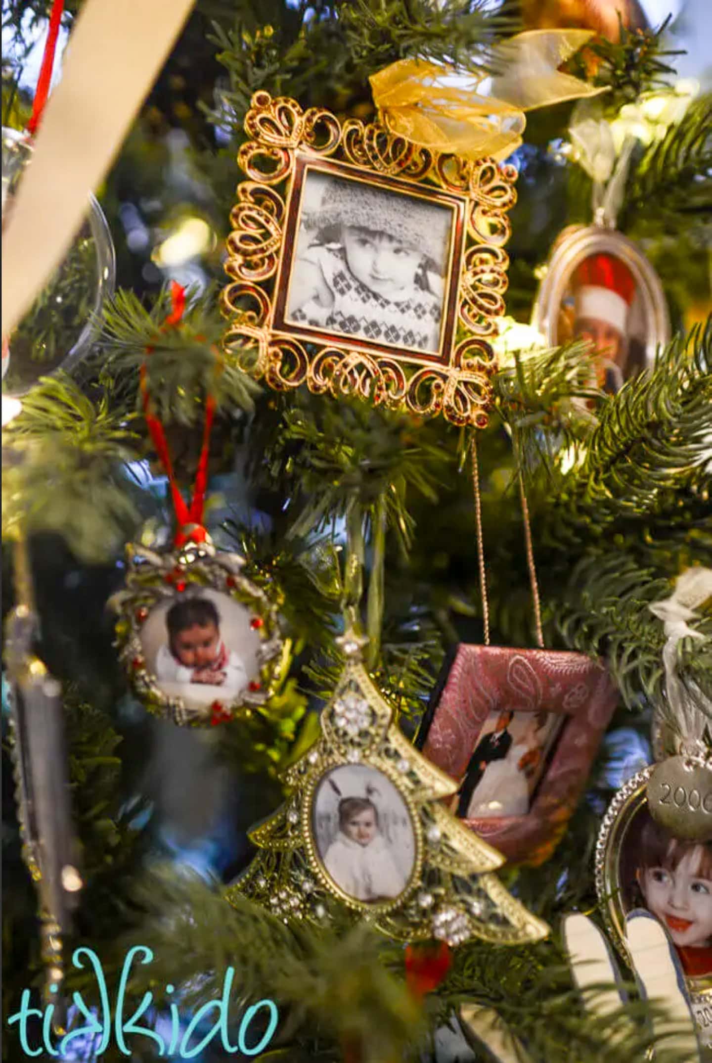 A Christmas tree decorated with framed pictures of family members