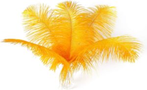 yellow gold ostrich feathers