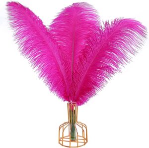 fuchsia pink ostrich feathers