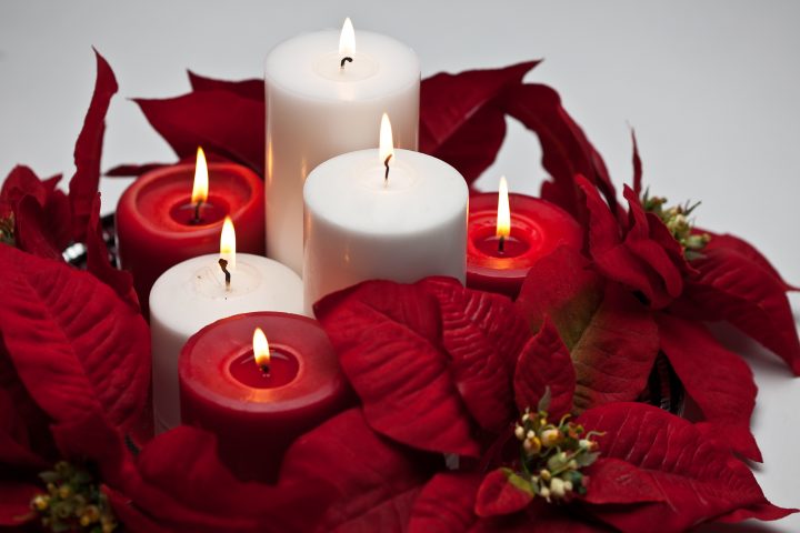 poinsettia centerpieces